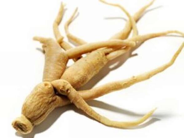 Ginseng root