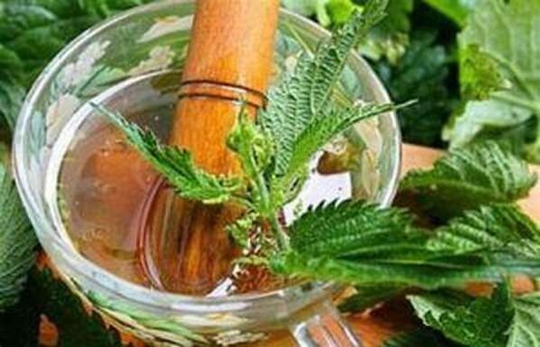 Nettle has a beneficial effect on potency